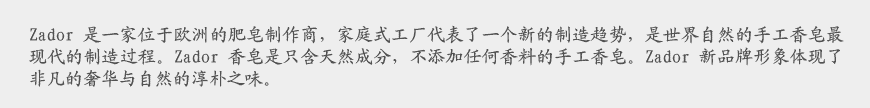 歐洲化工企業(yè)VI設計的匠心調性-2